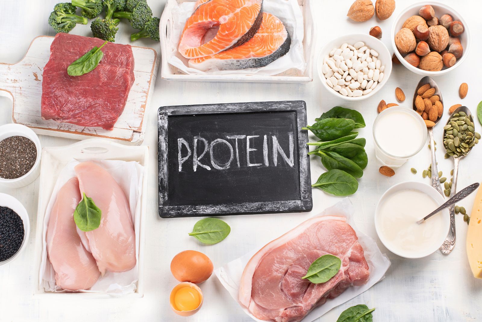 El papel de las proteínas en la pérdida de peso | Lida Green Inc.